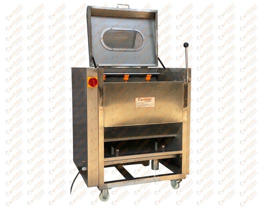 Vegetable Washing and Peeling Machine