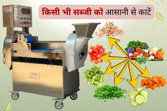Multi Function Vegetable Cutting Machine